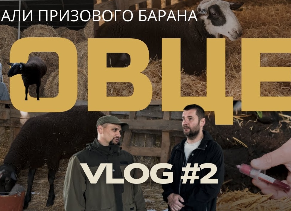 Продлеваем жизнь культиватору: делюсь с вами секретами и лайв-хаками