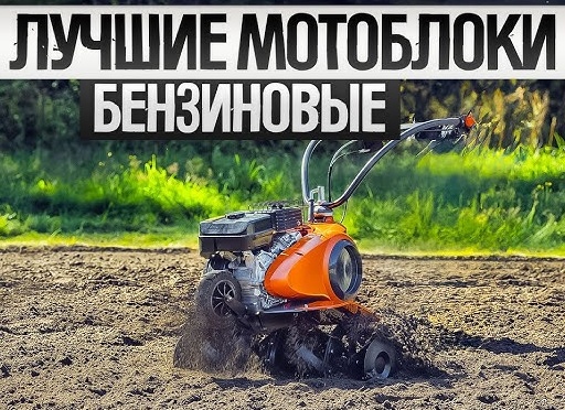 Выбираем мотоблок или культиватор: Лучшие и самые популярные модели для земляных работ