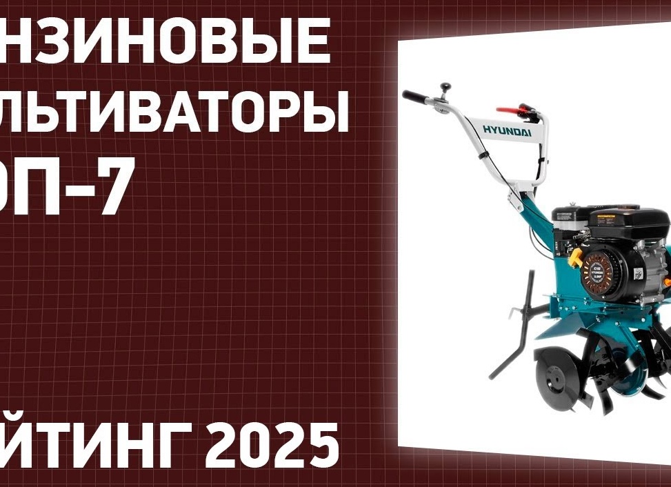 Топ-10 лучших бензиновых культиваторов – рейтинг 2025